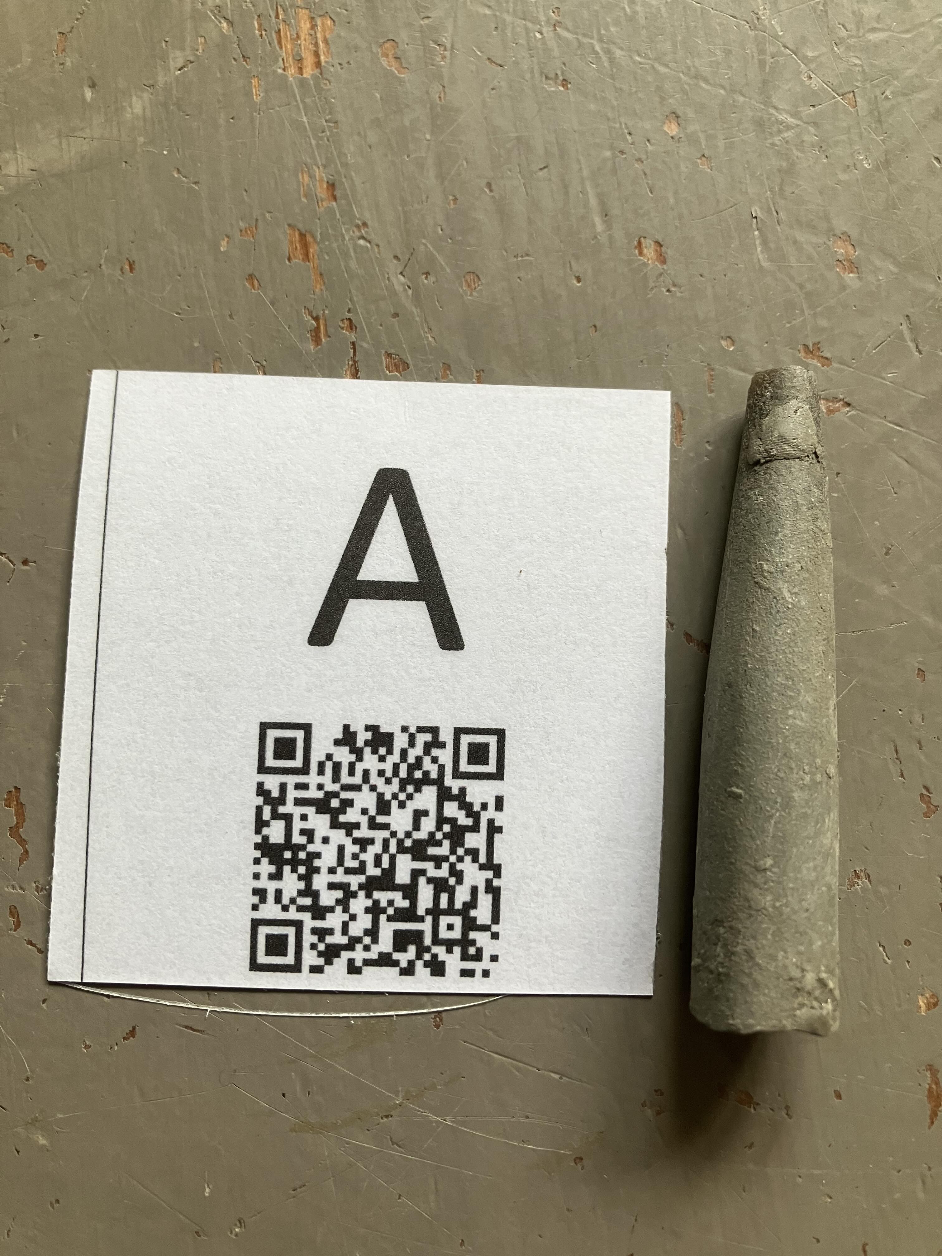 The fossil laid out next to a QR code