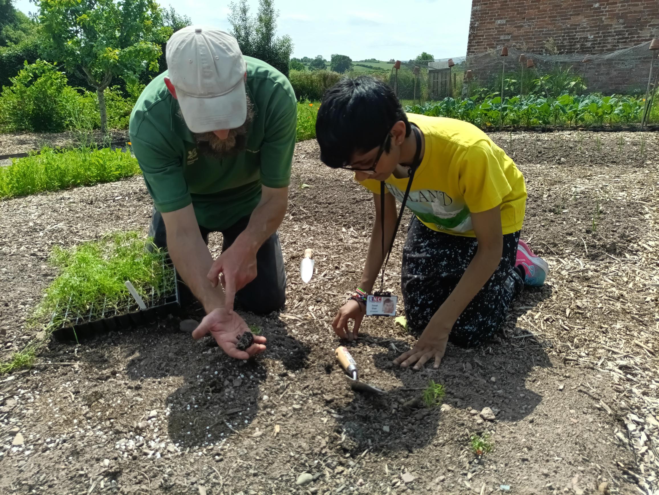 Sonali and Laurie kneeling on the soil planting seeds - it's a bright sunny day