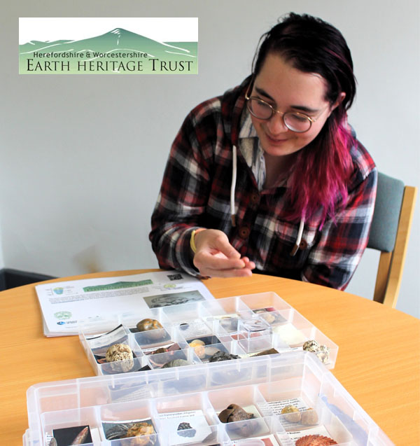 A student at a table exploring a box of fossils